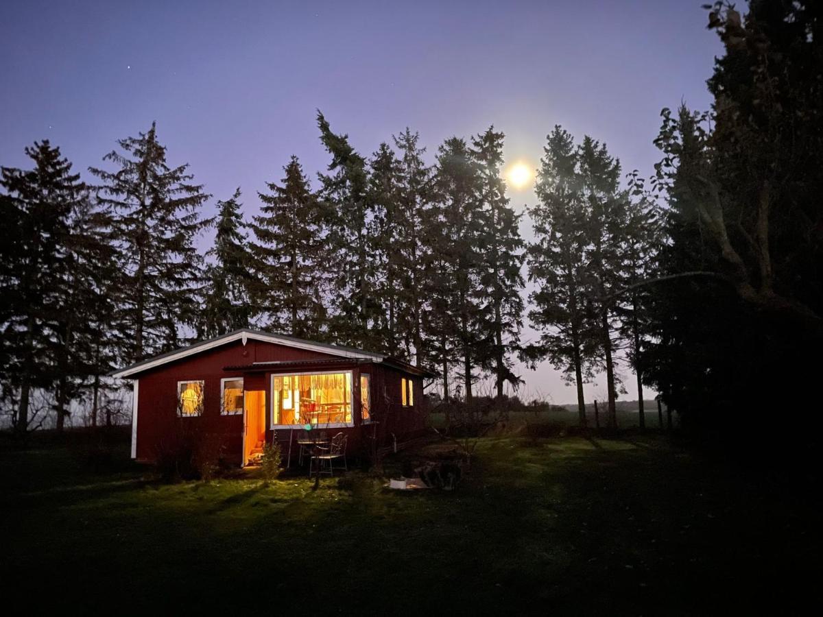 Landhaus Mit Pool, Bungalow In Der Natur Hohenbollentin Екстериор снимка
